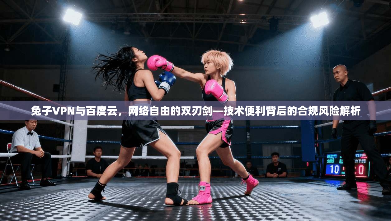 兔子VPN与百度云，网络自由的双刃剑—技术便利背后的合规风险解析