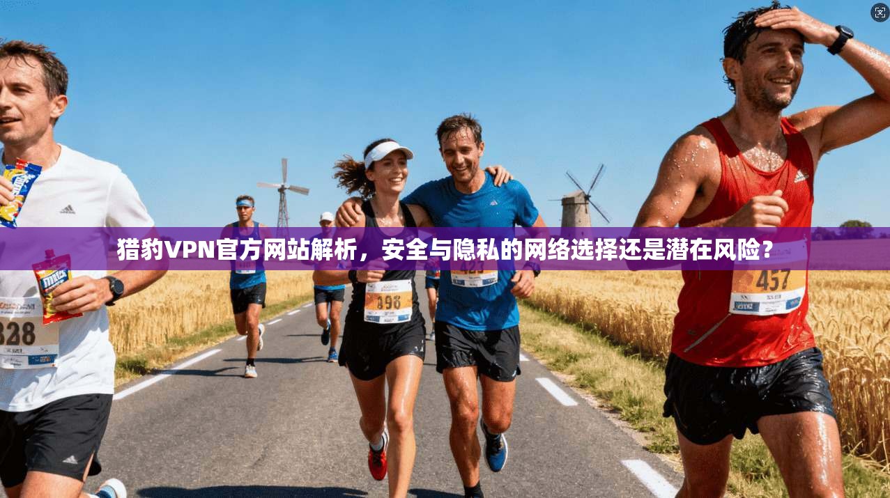 猎豹VPN官方网站解析，安全与隐私的网络选择还是潜在风险？