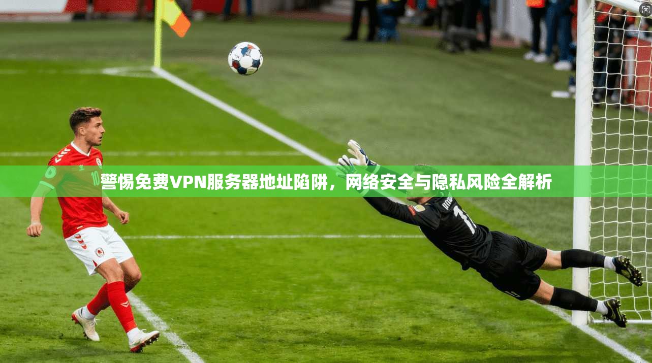 警惕免费VPN服务器地址陷阱，网络安全与隐私风险全解析