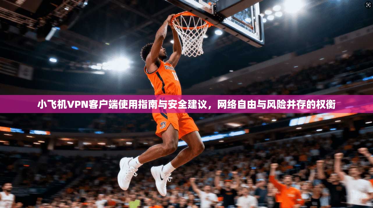 小飞机VPN客户端使用指南与安全建议，网络自由与风险并存的权衡