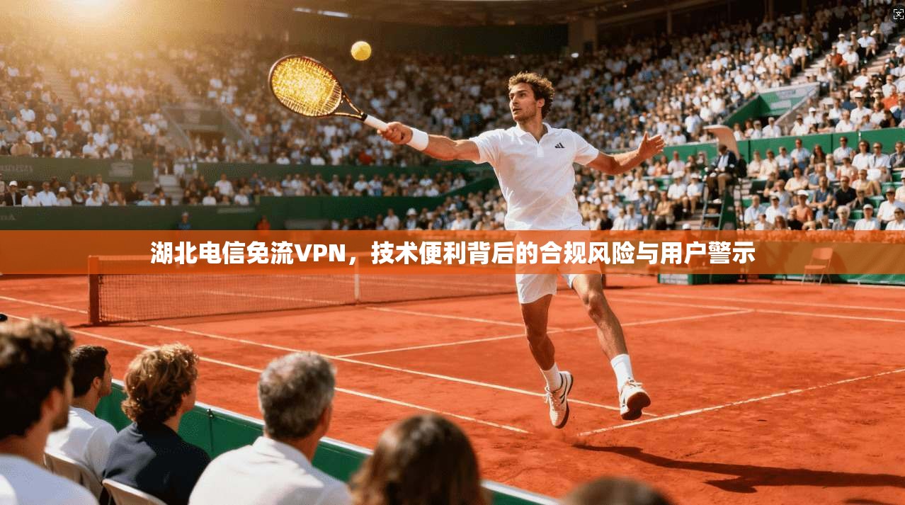 湖北电信免流VPN，技术便利背后的合规风险与用户警示