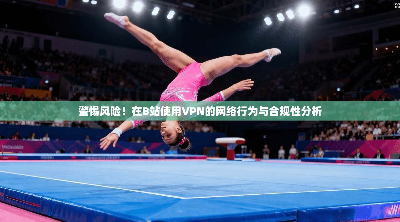 警惕风险！在B站使用VPN的网络行为与合规性分析