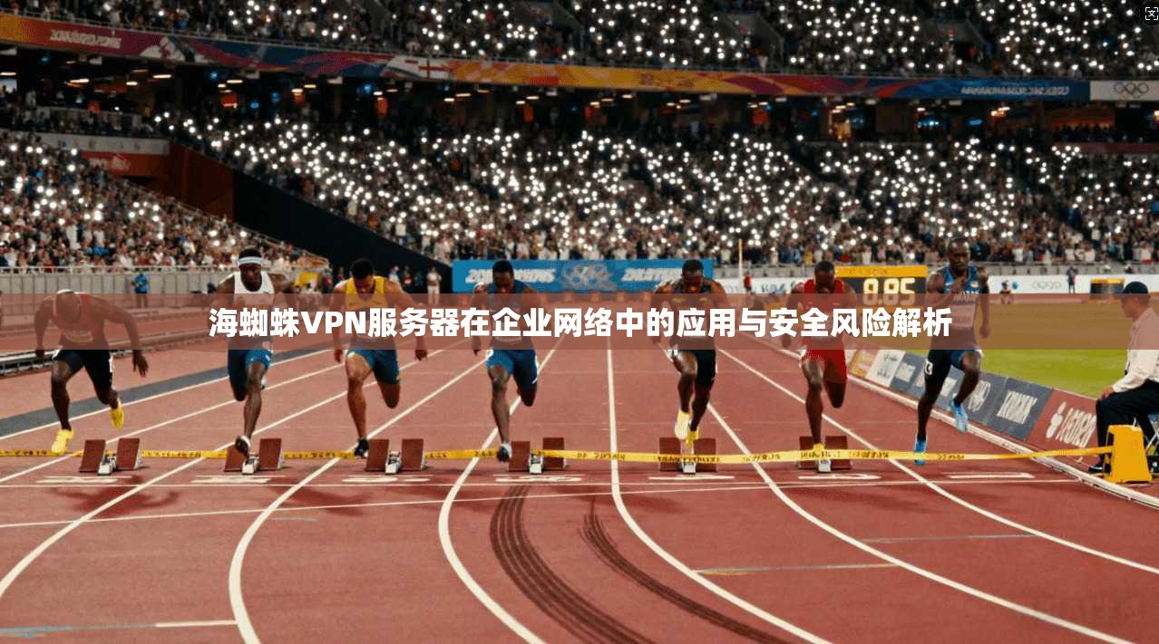 海蜘蛛VPN服务器在企业网络中的应用与安全风险解析