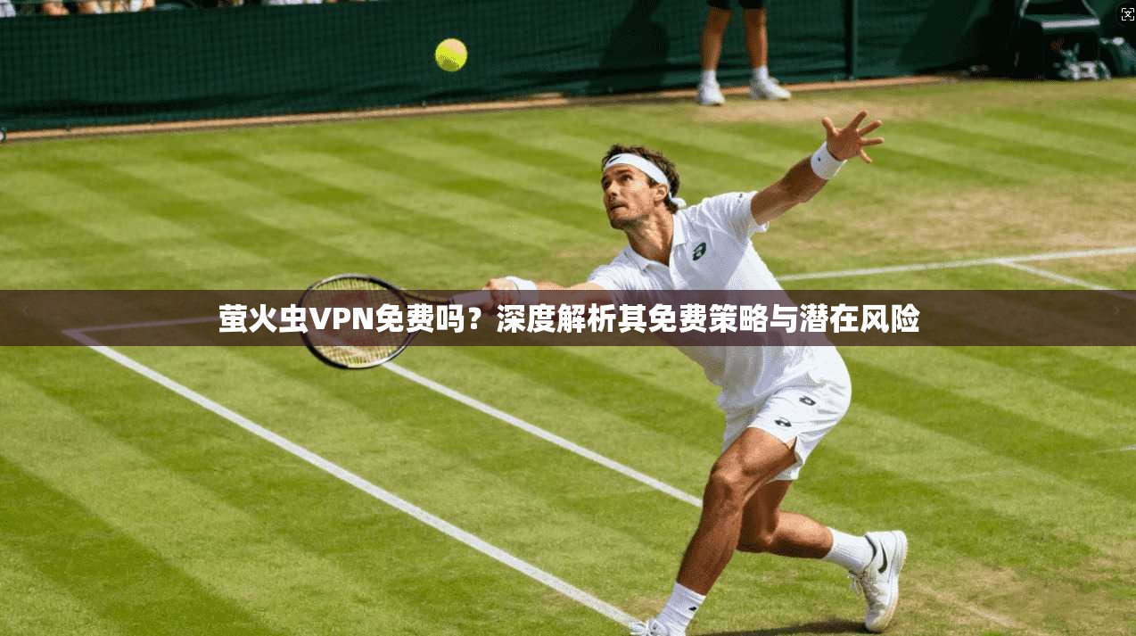 萤火虫VPN免费吗？深度解析其免费策略与潜在风险