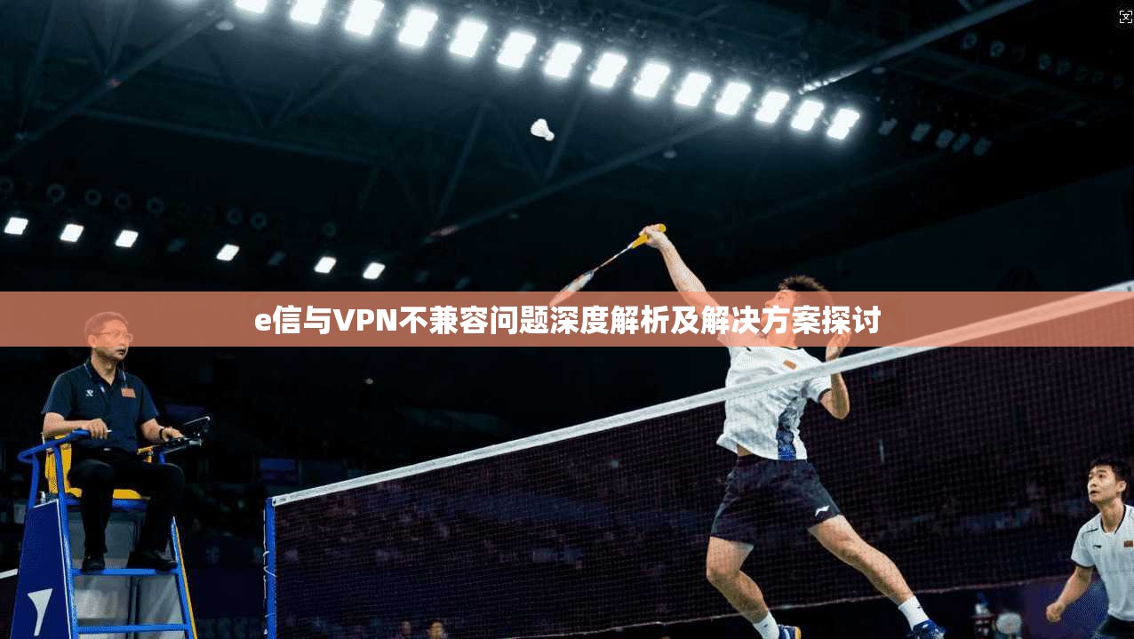 e信与VPN不兼容问题深度解析及解决方案探讨