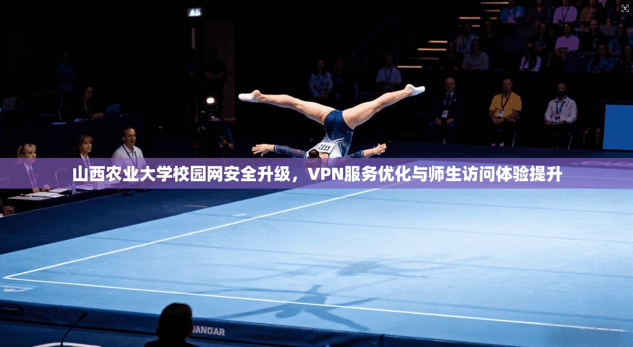 山西农业大学校园网安全升级，VPN服务优化与师生访问体验提升