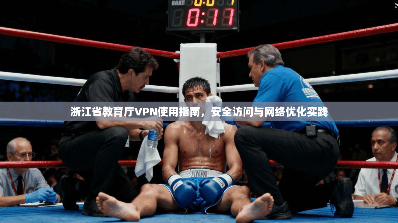 浙江省教育厅VPN使用指南，安全访问与网络优化实践