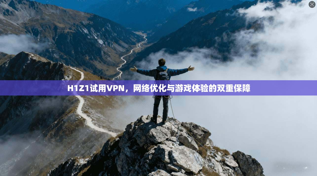 H1Z1试用VPN，网络优化与游戏体验的双重保障