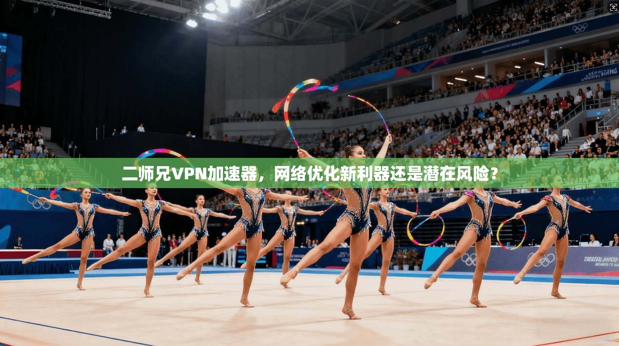 二师兄VPN加速器，网络优化新利器还是潜在风险？