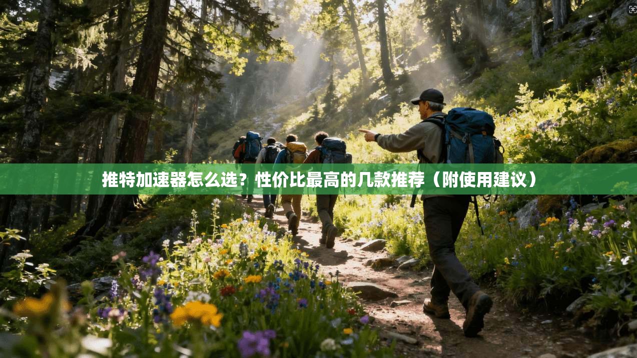推特加速器怎么选？性价比最高的几款推荐（附使用建议）