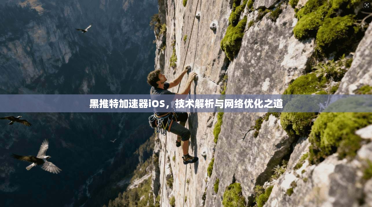 黑推特加速器iOS，技术解析与网络优化之道