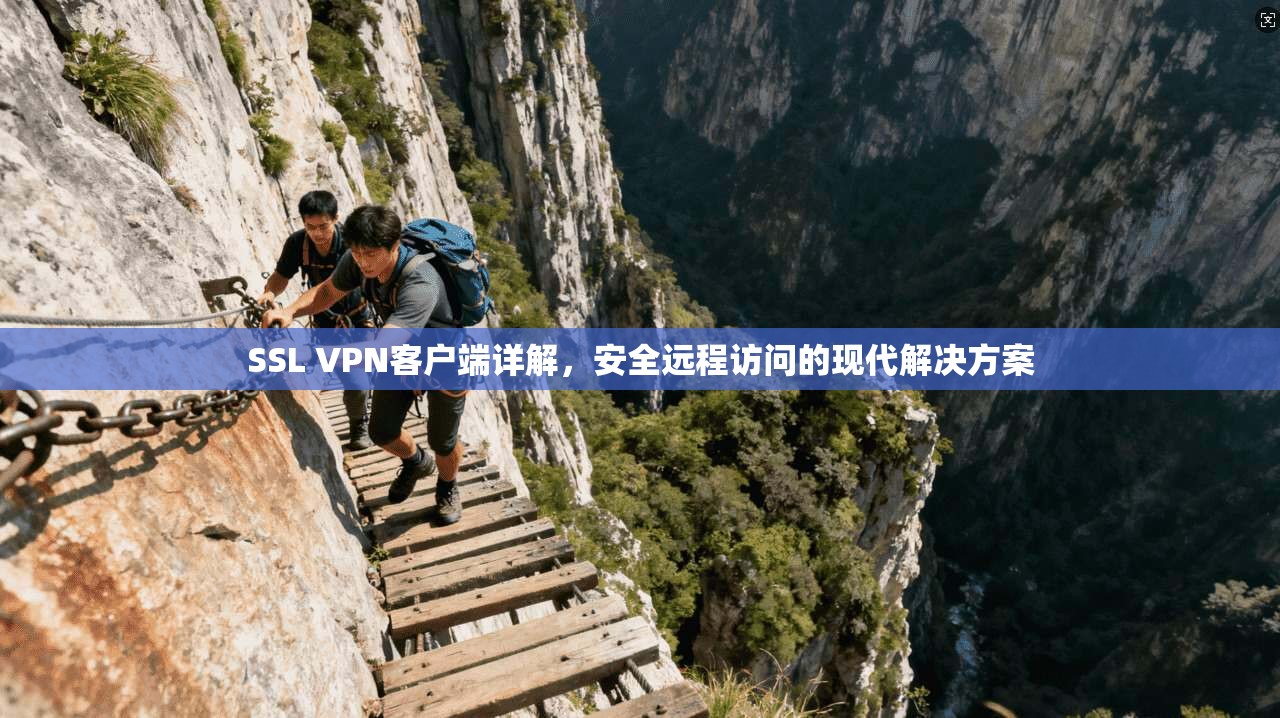 SSL VPN客户端详解，安全远程访问的现代解决方案