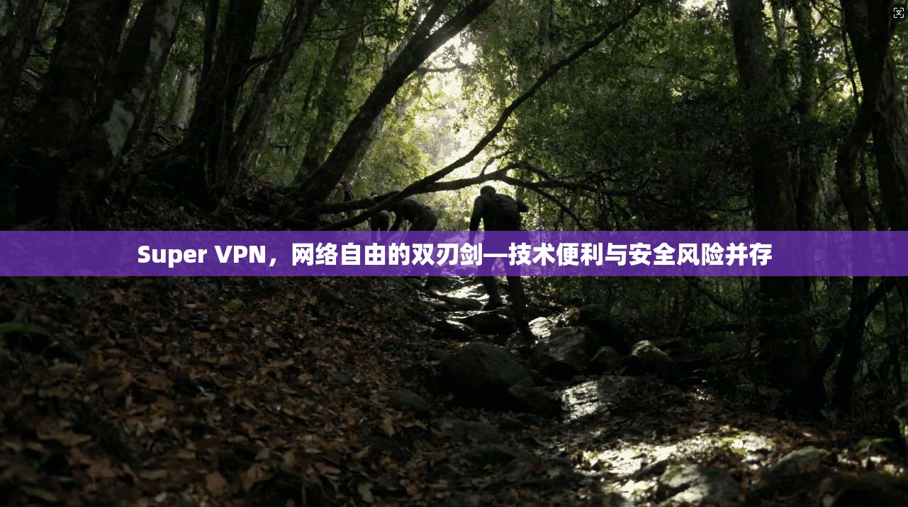 Super VPN，网络自由的双刃剑—技术便利与安全风险并存