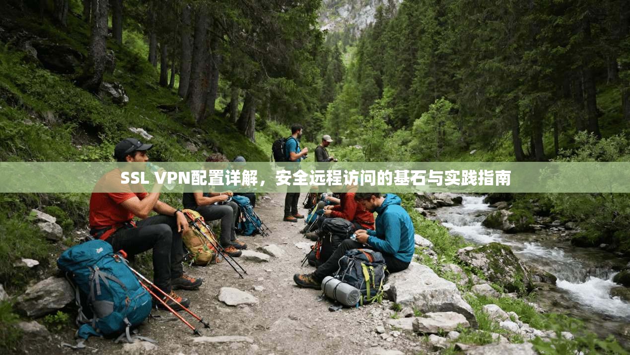 SSL VPN配置详解，安全远程访问的基石与实践指南