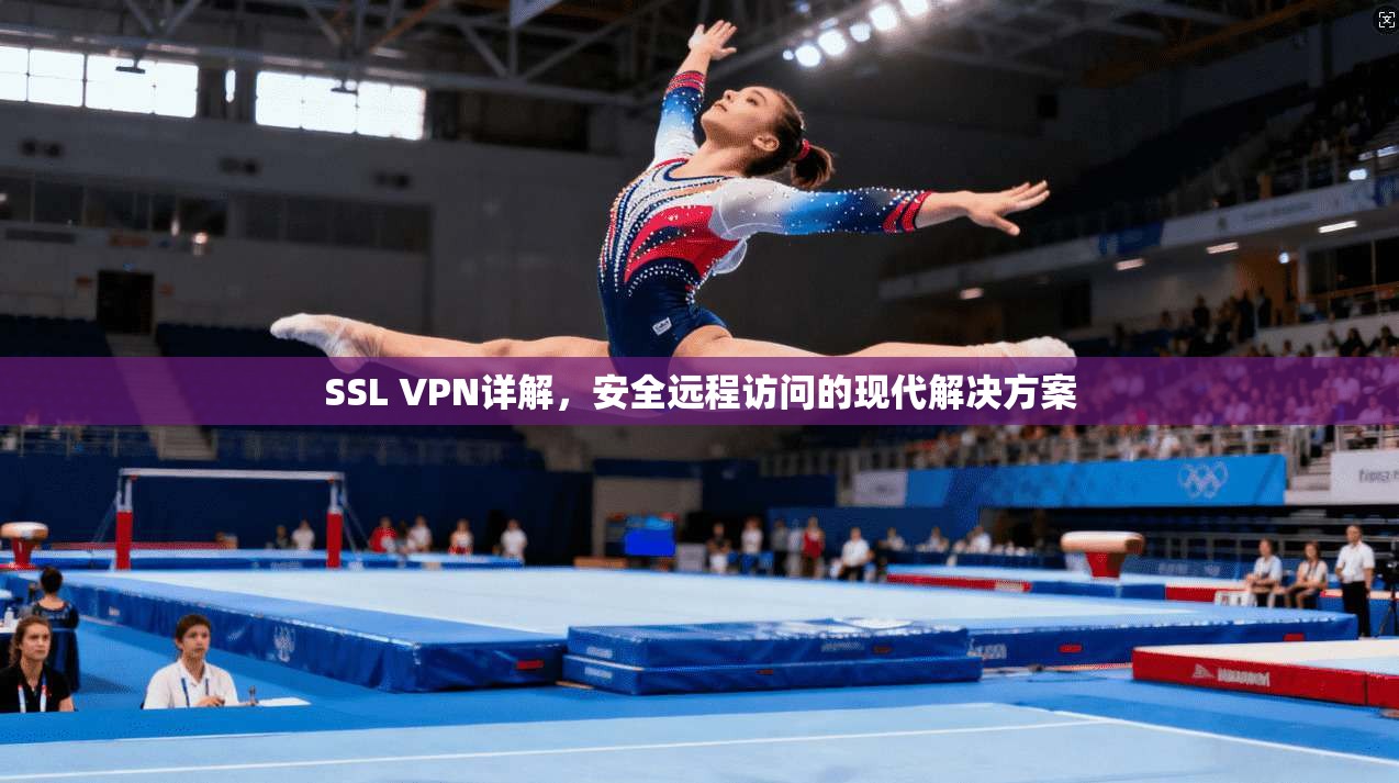 SSL VPN详解，安全远程访问的现代解决方案