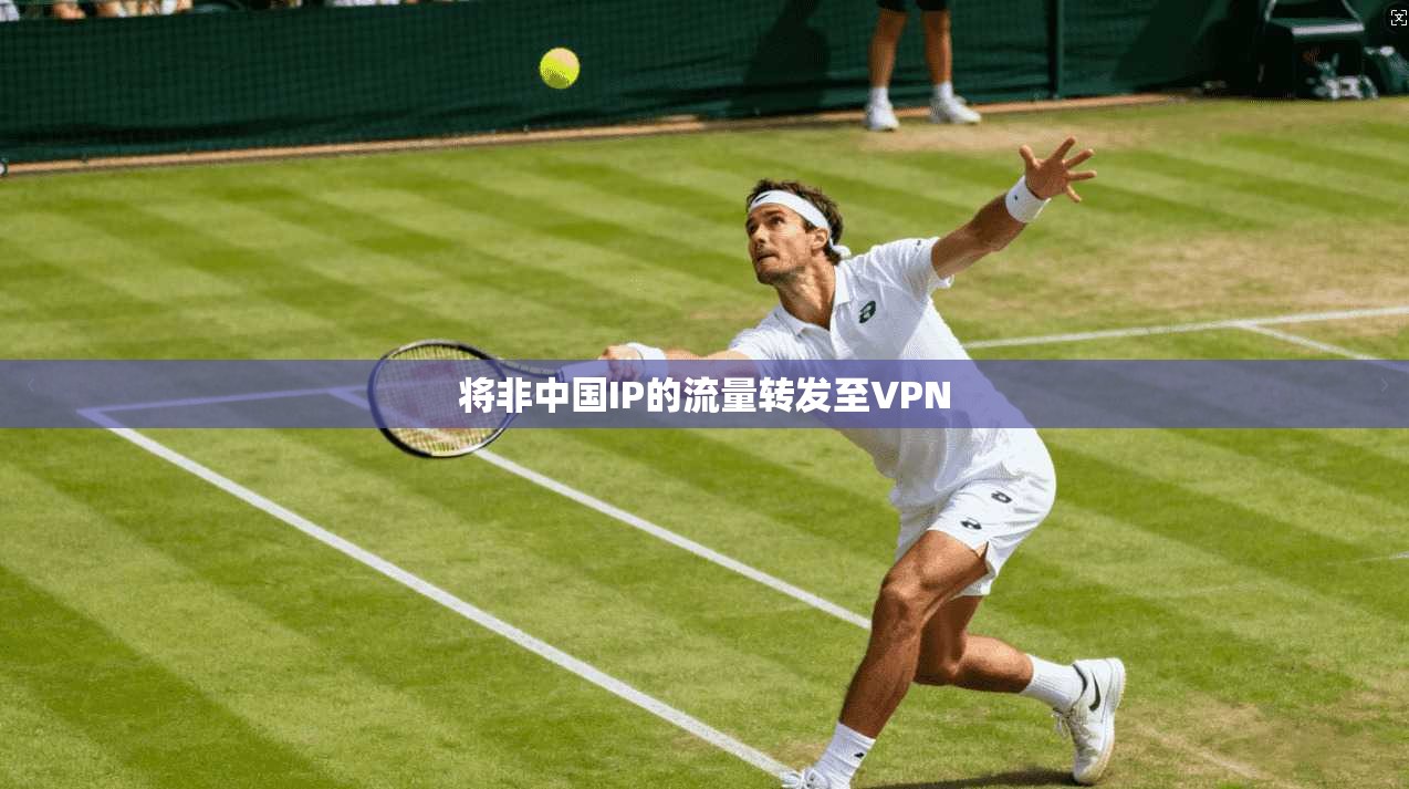 将非中国IP的流量转发至VPN