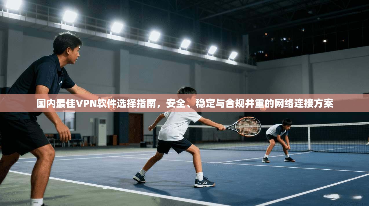 国内最佳VPN软件选择指南，安全、稳定与合规并重的网络连接方案