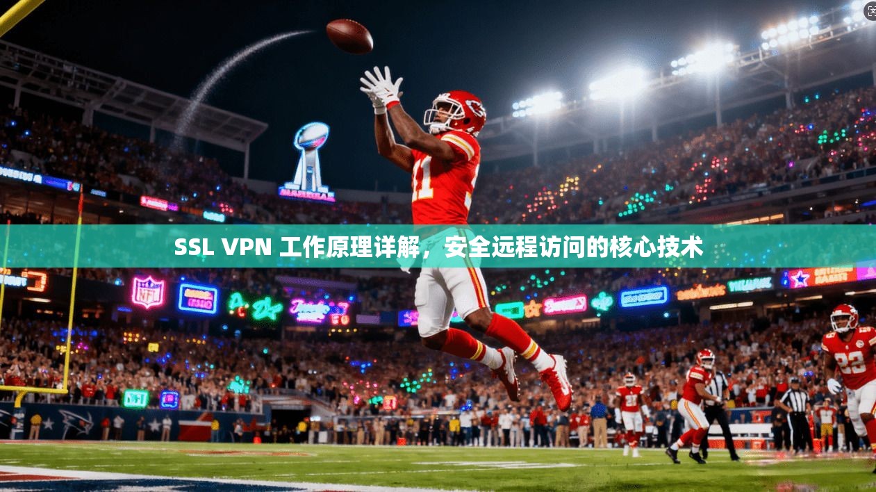 SSL VPN 工作原理详解，安全远程访问的核心技术