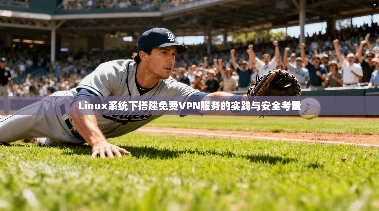 Linux系统下搭建免费VPN服务的实践与安全考量