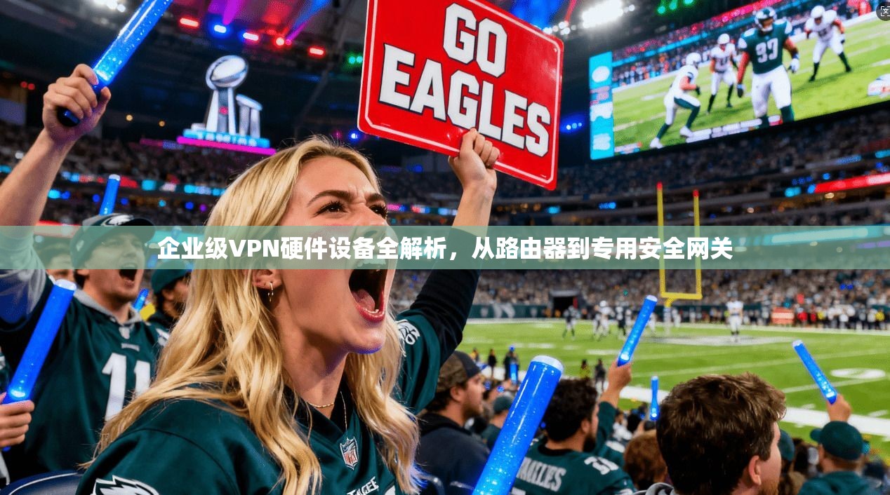 企业级VPN硬件设备全解析，从路由器到专用安全网关