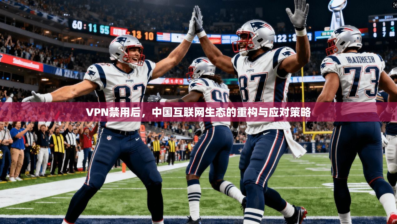 VPN禁用后，中国互联网生态的重构与应对策略