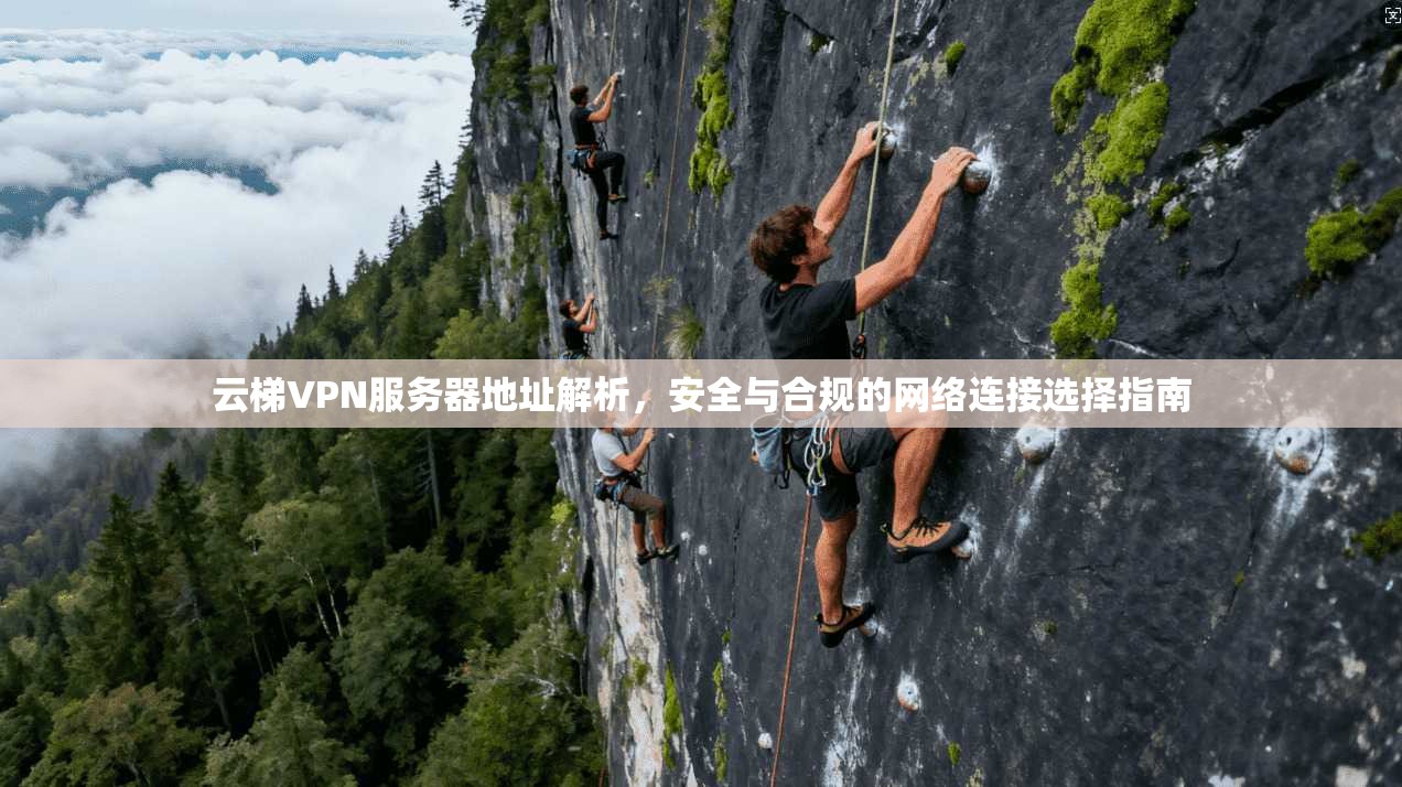 云梯VPN服务器地址解析，安全与合规的网络连接选择指南