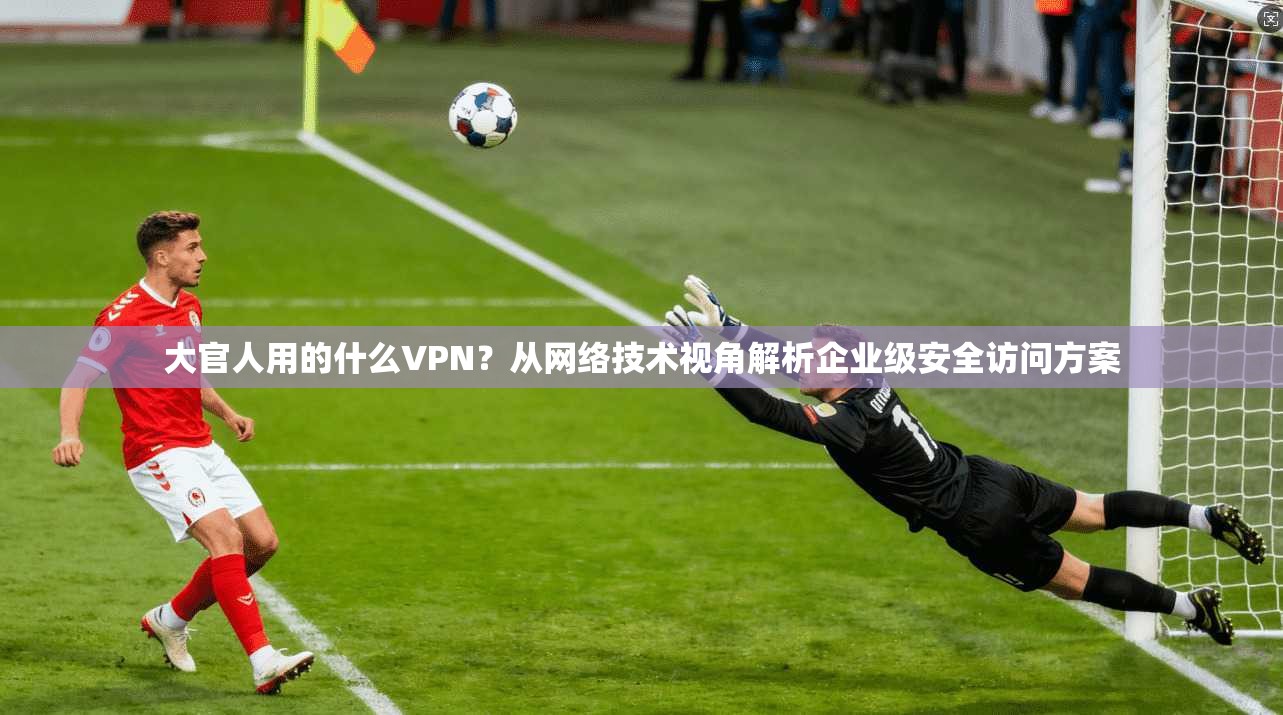 大官人用的什么VPN？从网络技术视角解析企业级安全访问方案