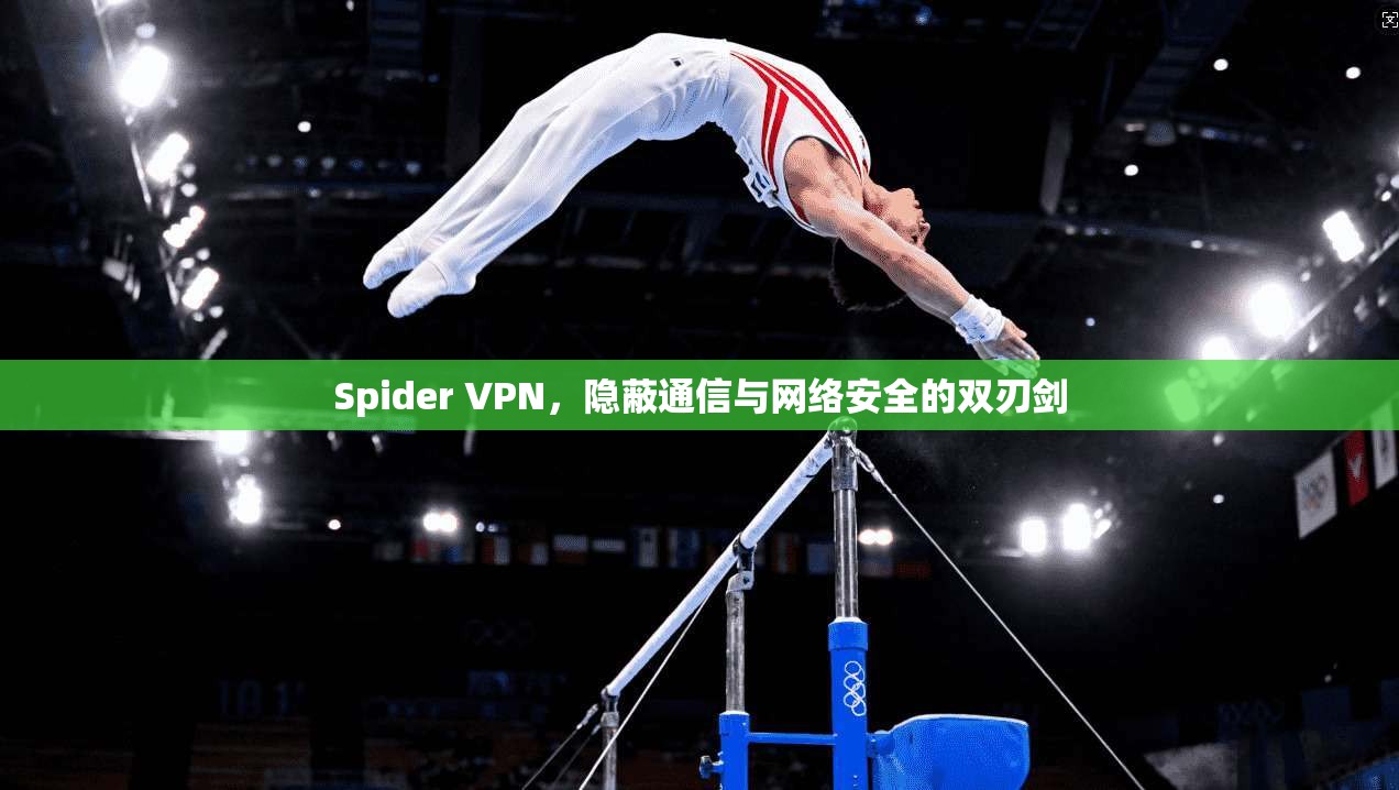 Spider VPN，隐蔽通信与网络安全的双刃剑