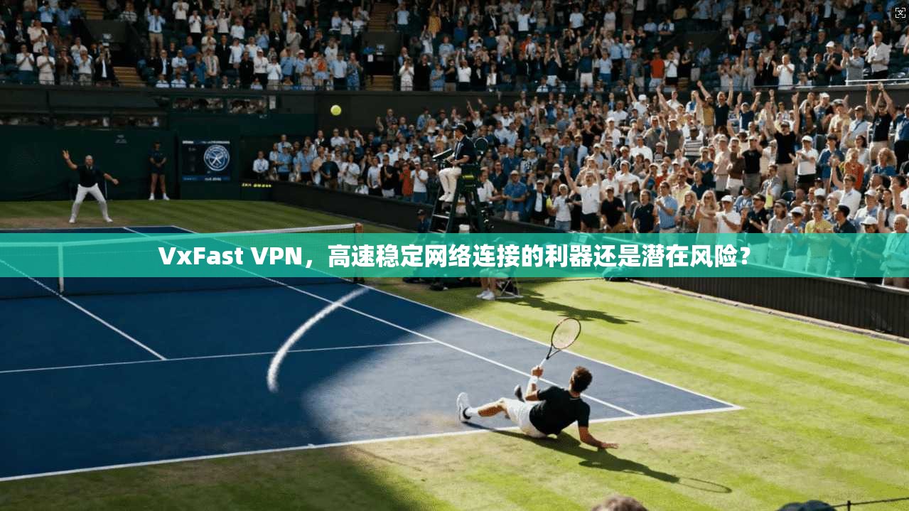 VxFast VPN，高速稳定网络连接的利器还是潜在风险？