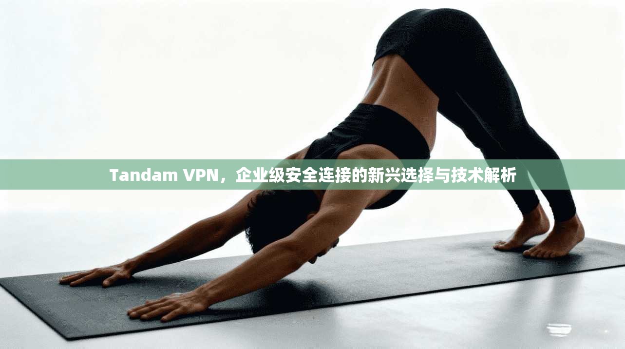 Tandam VPN，企业级安全连接的新兴选择与技术解析