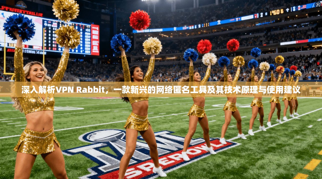 深入解析VPN Rabbit，一款新兴的网络匿名工具及其技术原理与使用建议