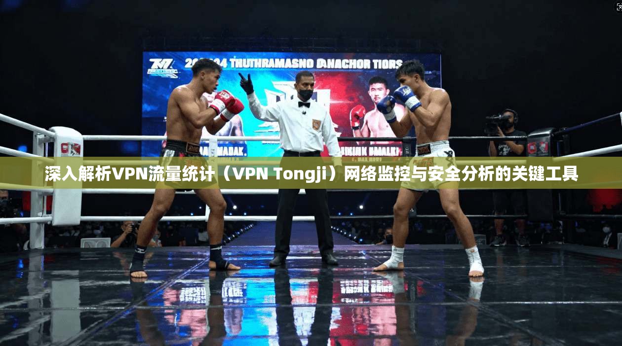 深入解析VPN流量统计（VPN Tongji）网络监控与安全分析的关键工具
