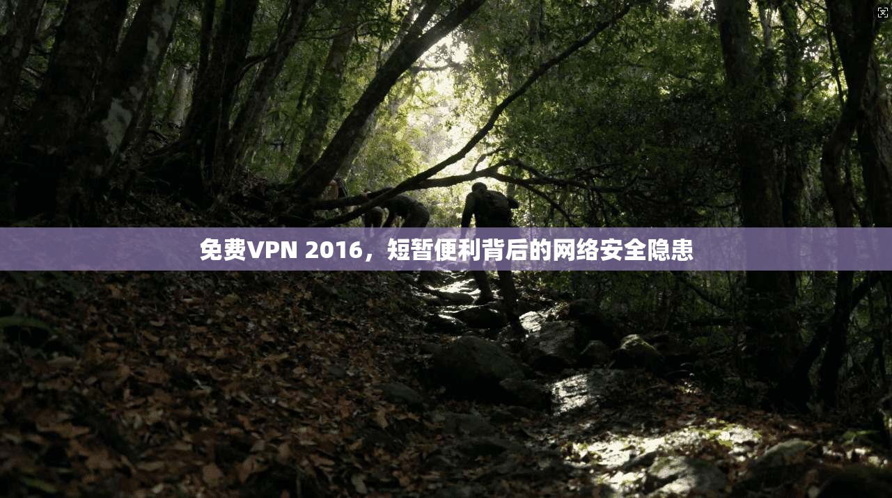 免费VPN 2016，短暂便利背后的网络安全隐患