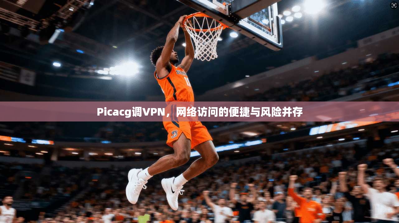 Picacg调VPN，网络访问的便捷与风险并存