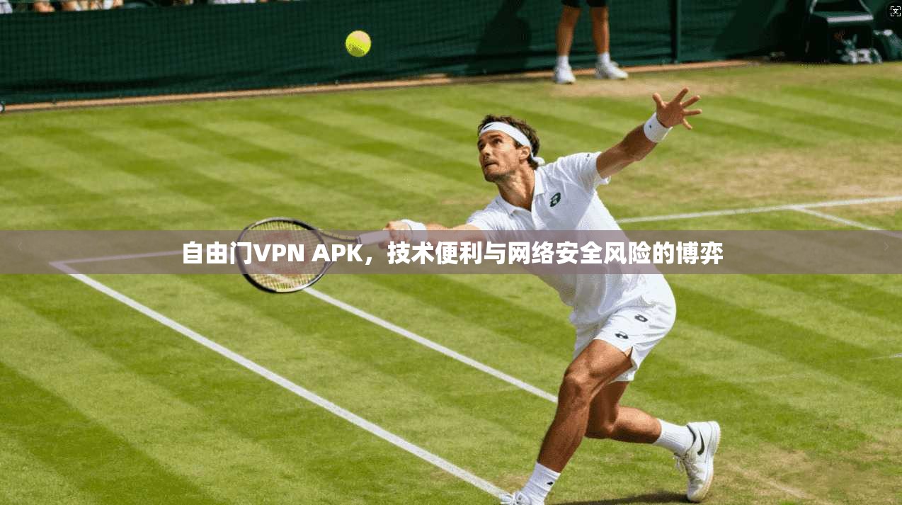 自由门VPN APK,技术便利与网络安全风险的博弈 自由门VPN APK,技术便利与网络安全风险的博弈