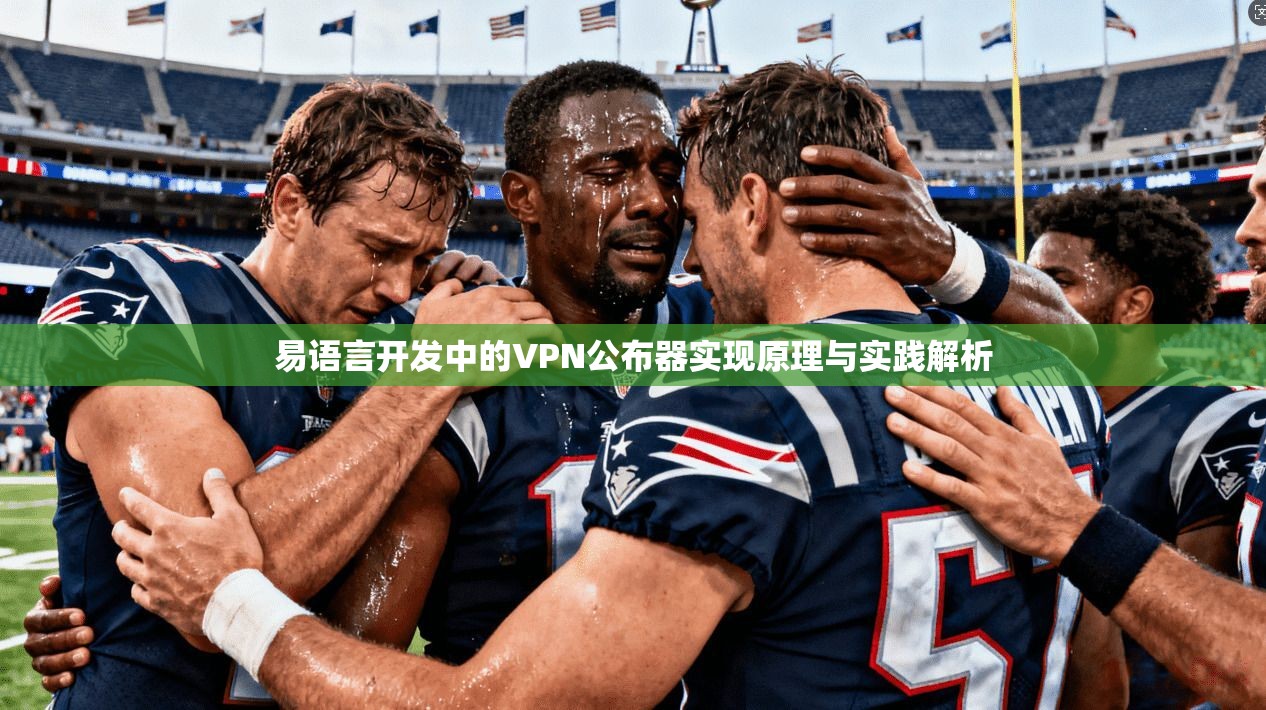 易语言开发中的VPN公布器实现原理与实践解析 易语言开发中的VPN公布器实现原理与实践解析