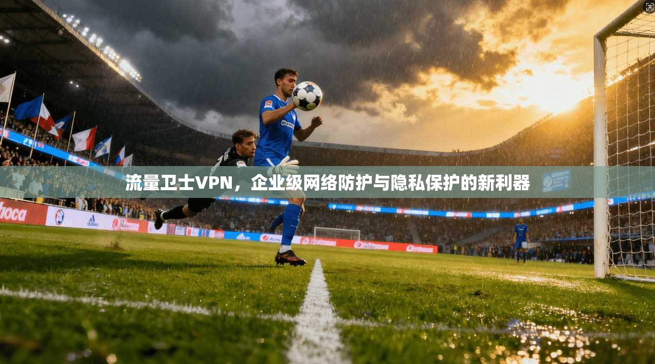 流量卫士VPN，企业级网络防护与隐私保护的新利器