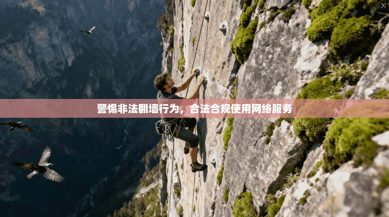 警惕非法翻墙行为，合法合规使用网络服务