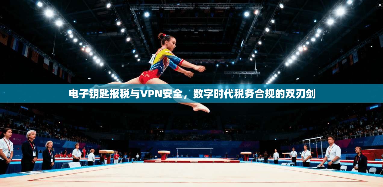 电子钥匙报税与VPN安全，数字时代税务合规的双刃剑