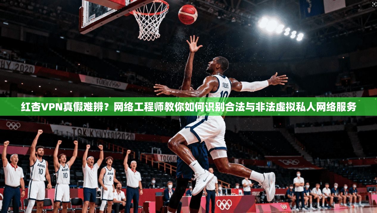 红杏VPN真假难辨？网络工程师教你如何识别合法与非法虚拟私人网络服务