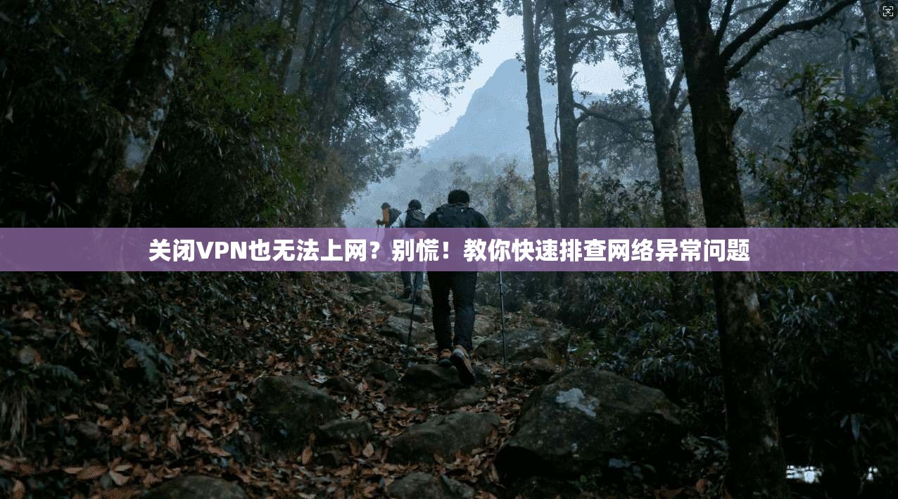 关闭VPN也无法上网？别慌！教你快速排查网络异常问题