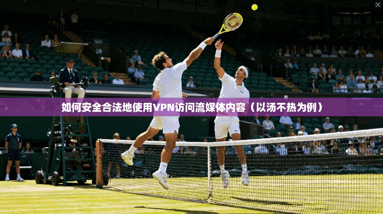 如何安全合法地使用VPN访问流媒体内容(以汤不热为例) 如何安全合法地使用VPN访问流媒体内容(以汤不热为例)