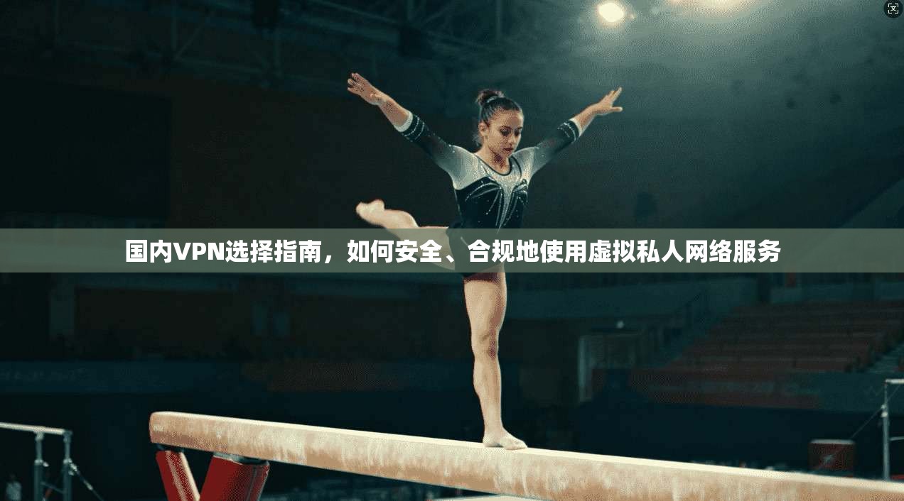国内VPN选择指南，如何安全、合规地使用虚拟私人网络服务