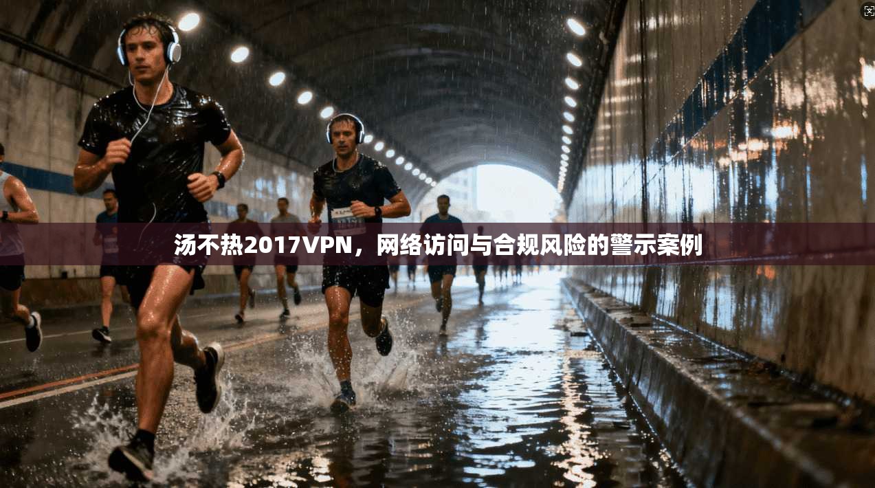 汤不热2017VPN，网络访问与合规风险的警示案例