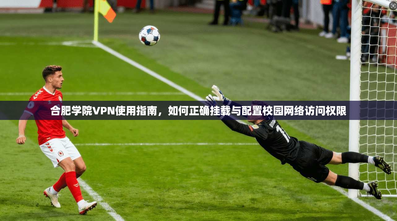 合肥学院VPN使用指南，如何正确挂载与配置校园网络访问权限