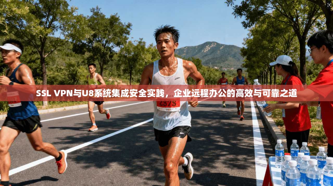 SSL VPN与U8系统集成安全实践，企业远程办公的高效与可靠之道