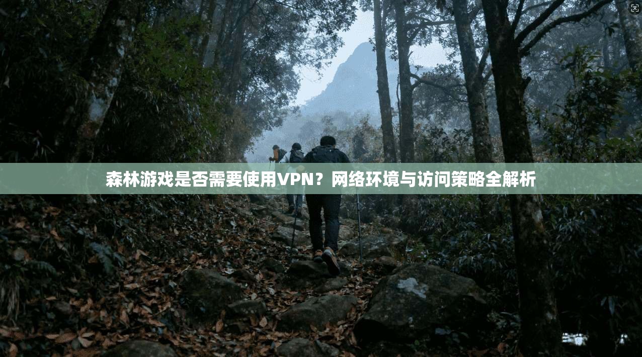 森林游戏是否需要使用VPN？网络环境与访问策略全解析