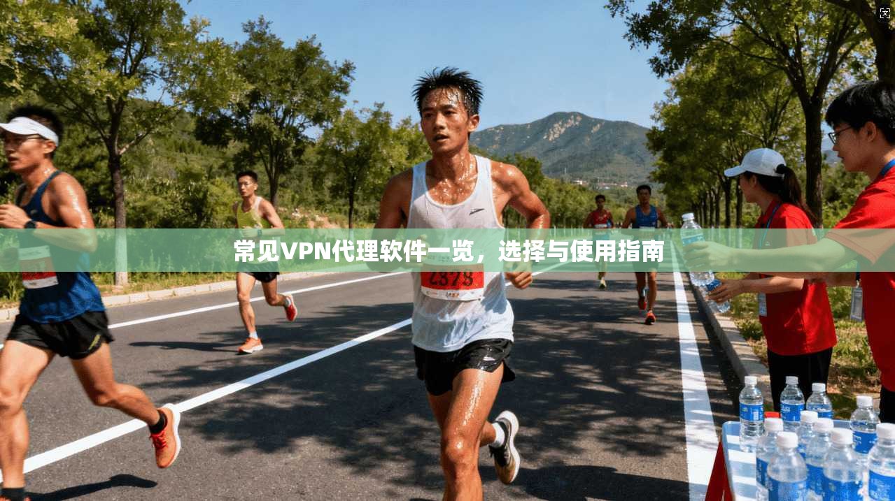 常见VPN代理软件一览，选择与使用指南
