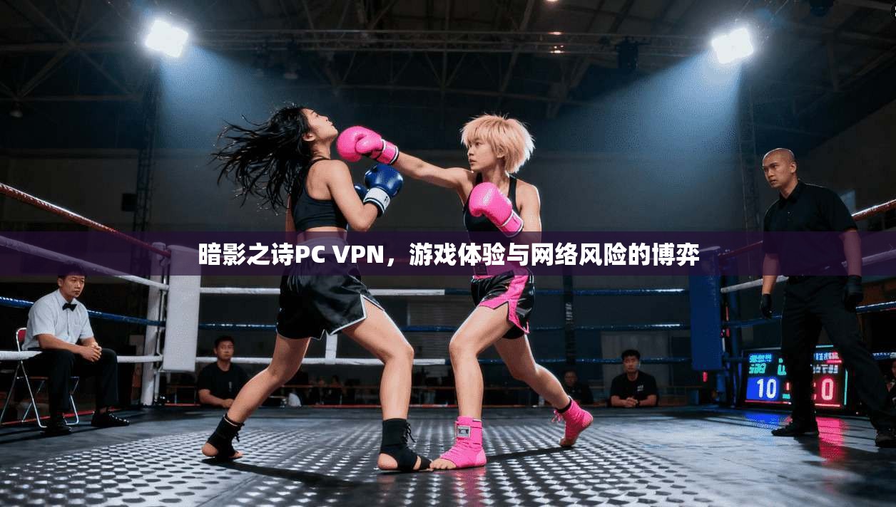 暗影之诗PC VPN，游戏体验与网络风险的博弈