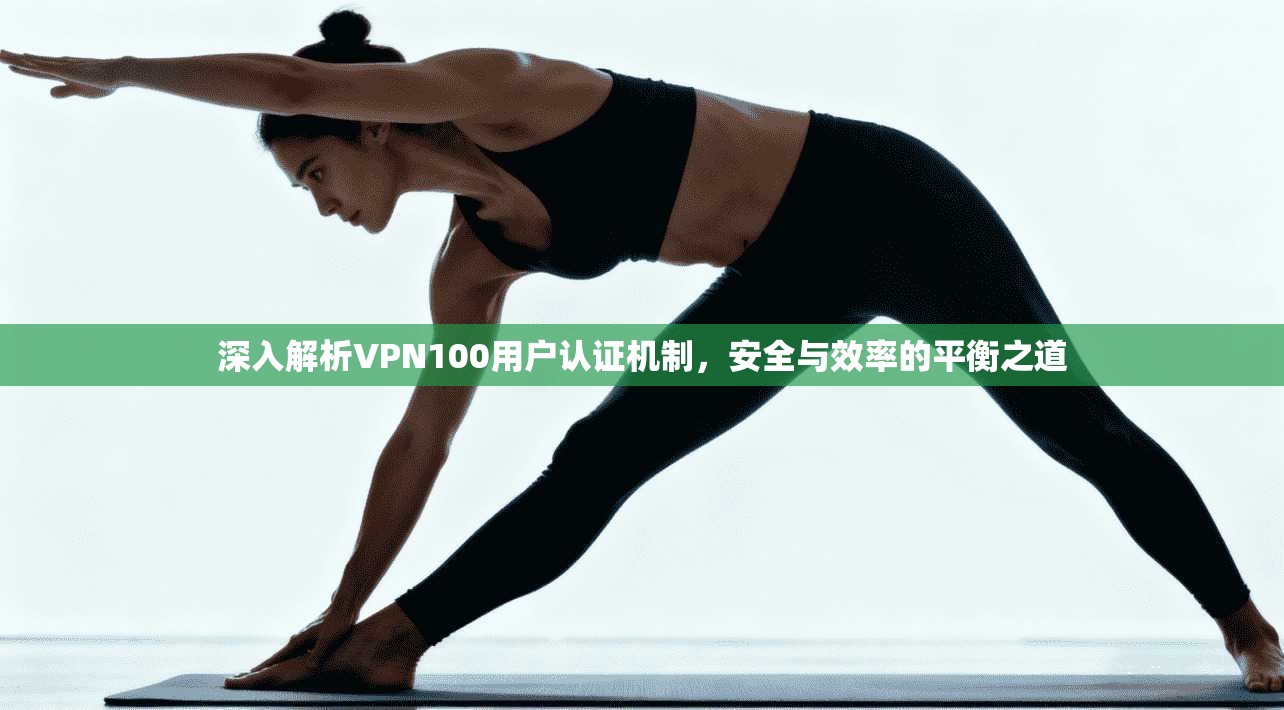 深入解析VPN100用户认证机制，安全与效率的平衡之道